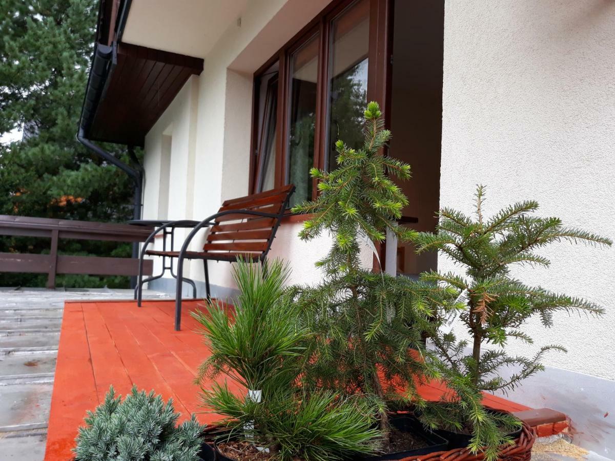 Apartament willa sichla murzasichle Zewnętrze zdjęcie